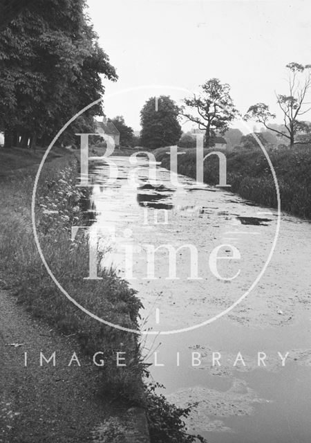 Looking upstream from Bathampton Bridge 1956