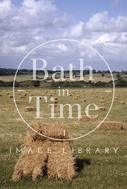 Bales of hay, Midford Valley 1964