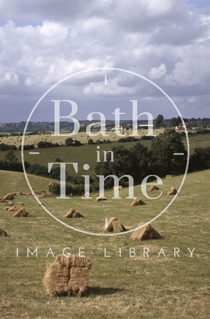 Bales of hay, Midford area 1964