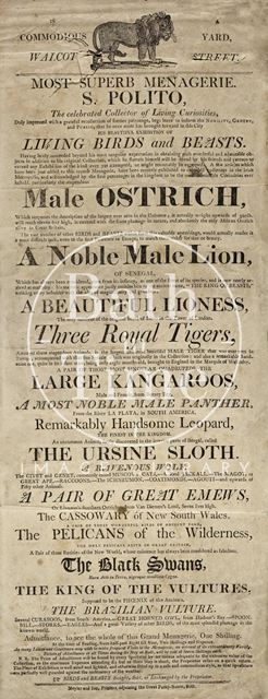 Most Superb Menagerie, S. Polito, Walcot Street, Bath 1815