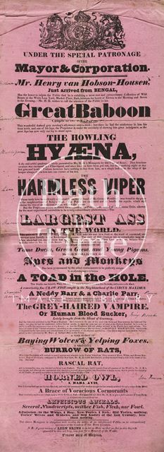 Mr. Henry van Hobson-Housen's Tory menagerie, Bath 1832