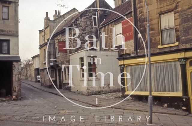 The Young Fox, Old Orchard from Holloway, Bath 1966