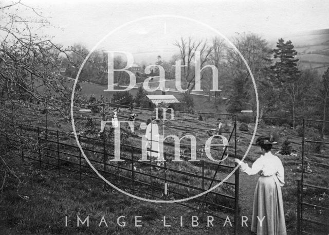 General view of Annie's Arboretum 1910