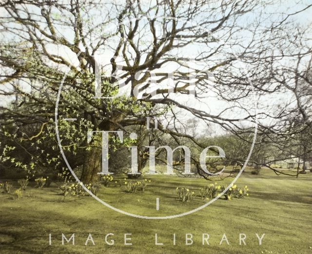 Springtime, The Botanical Gardens, Royal Victoria Park, Bath 1961